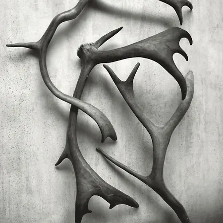 Διαμέρισμα The Crown Of Fjaellen By Hilla Levi