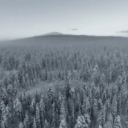 The Crown Of Fjaellen By Hilla Διαμέρισμα Levi